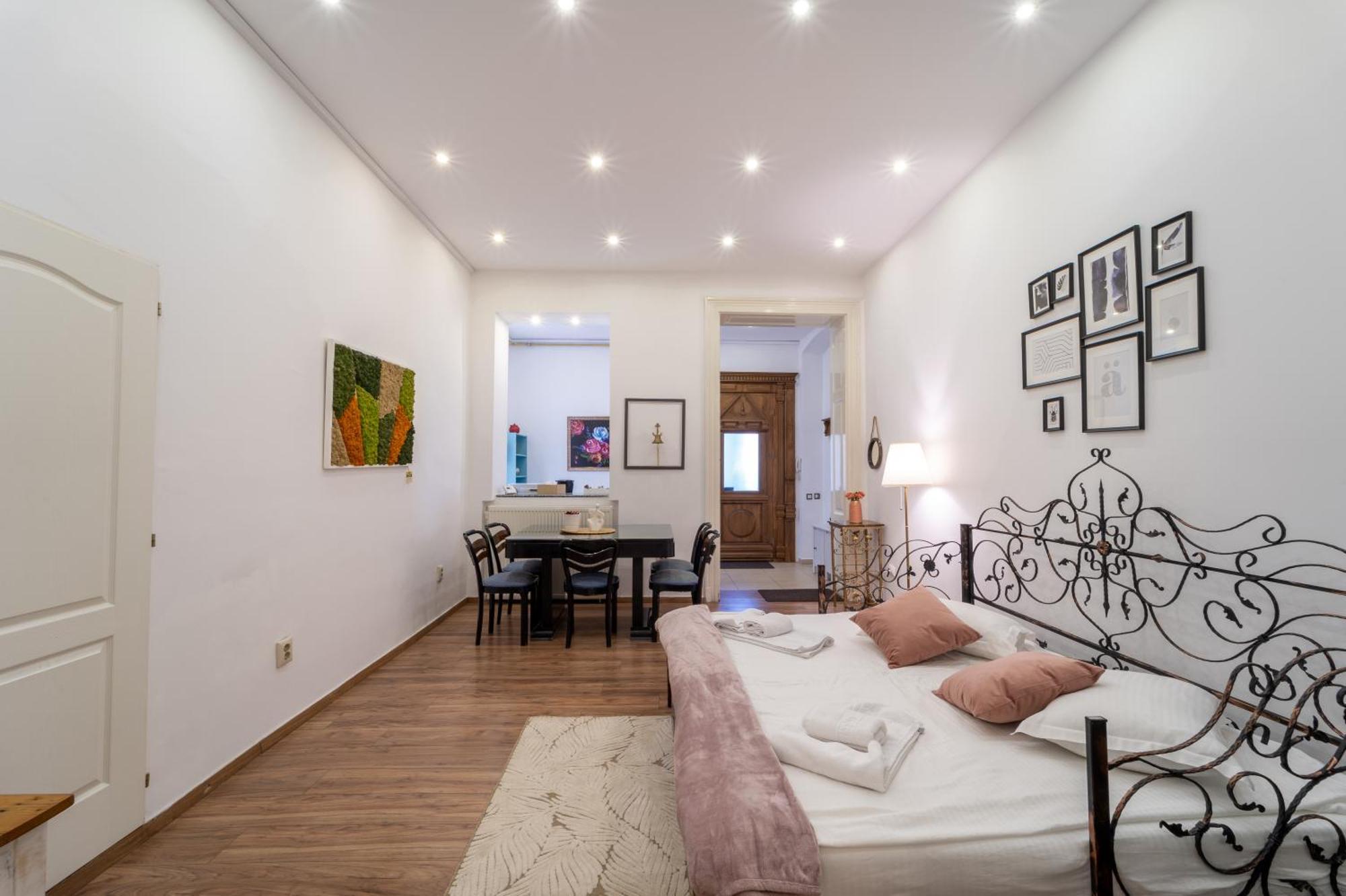 Cozy Spacious 5 Star Accommodation In The Heart Of Historic Center Cluj-Napoca Extérieur photo